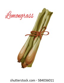 Lemongrass or lemon grass vector icon. Herbal spice plant or green herb of asian or oriental cuisine culinary condiment, salad dressing or flavoring ingredient. Isolated vector piquant plant branch