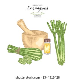 Lemongrass plant isolated on white background. Hand drawn set of lemongrass bunch, mortar and glass bottle of lemongrass oil. Vector illustration.