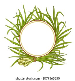 lemongrass  plant vector frame