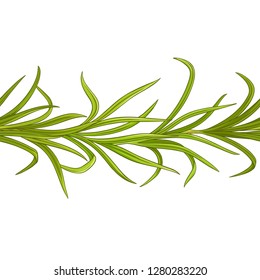 レモングラス 植物 イラスト Images Stock Photos Vectors Shutterstock