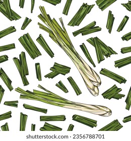 Lemongrass seamless floral pattern design with sprouts of green lemongrass, color engraving or sketch vintage vector illustration on white background.