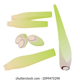 Lemongrass, Set of Lemongrass and cut isolated on white background. Vector illustration.