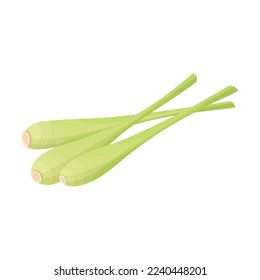 Zitronengras stalkt drei Äste Symbol. Geschnittener Zitronengrasstalk, für Thai-Suppe, gewürzt. Oder Kosmetik.