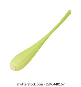 Lemongrass stem icon. Sliced lemongrass stalk, for Thai soup, seasoning. Or cosmetics.