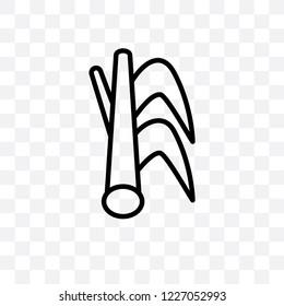 Lemongrass vector linear icon isolated on transparent background, Lemongrass transparency concept can be used for web and mobile