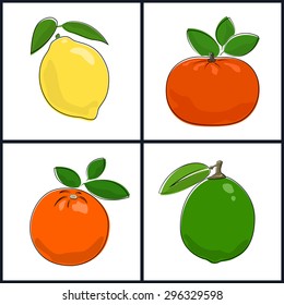 Lemon,Orange,Mandarin,Lime , Isolated on White Background , Set of Fruit Icons , Vector Illustration