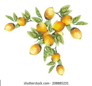 Lemons