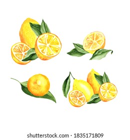 Lemons Arrangement Watercolor Set. Vector artistic collection isolated on white, cocktail party decorations