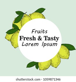 Lemons black line drawn on a white background. Vector drawing of fruits. Abstract spots.