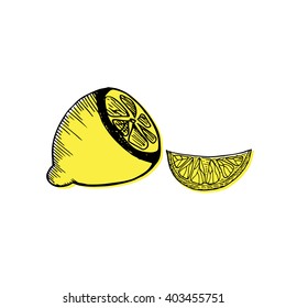Lemons black line drawn on a white background. Vector Illustration. Vector sketch illustration.