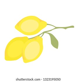 lemons branch flat simple illustration. Kitchen cooking - vegetables and fruits series.