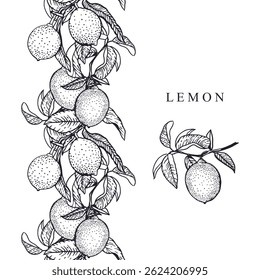 Lemons branch seamless border vertical black ink. Fruits and leaves. Hand drawn vector illustration. For food and cosmetic labels, jam, lemonade, covers, wallpapers.