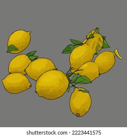 Lemons with branches Illustration Vector Cartoon Drawing