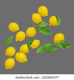 Lemons with branches Illustration Vector Cartoon Drawing