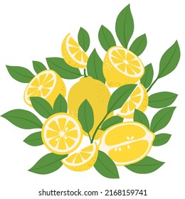 Lemons with branches. Lemon mugs, lemon slices, whole and half lemons surrounded by lemon leaves. A bouquet of lemons. Isolate, vector