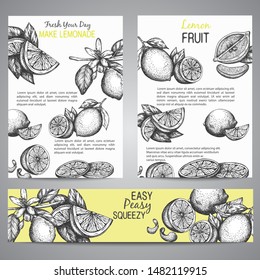 Lemons Brochure collection hand drawn vector illustration with leaves, Vintage yellow background Whole lemon, sliced pieces, half, leafe and peel