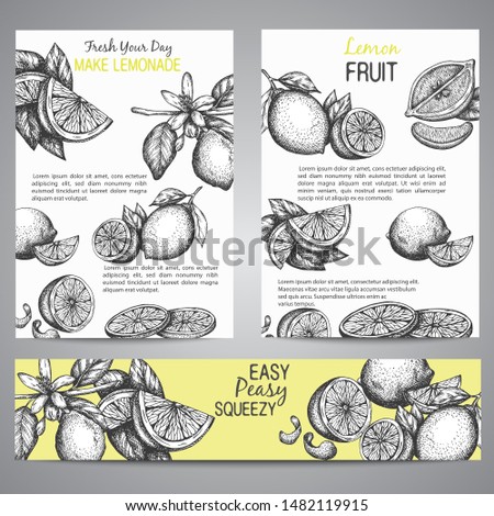 Lemons Brochure collection hand drawn vector illustration with leaves, Vintage yellow background Whole lemon, sliced pieces, half, leafe and peel