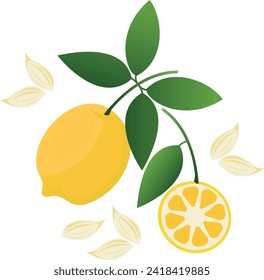 Lemons with cats. Vector stock illustration of a citron. Yellow sour citron fruit, Lemon, lime, mandarin, orange, citrus fruit.