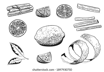 Lemons and cinnamon Hand drawn vector illustration. Collections of Lemon, slice, leaf, rind peel, cinnamon