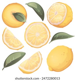 Lemons collection. Set fresh lemon fruits and slice with leaves. Illustration for grocery shop, cafe, bar, party, food concept, recipe. Vector illustration for menu, poster, banner, website, print