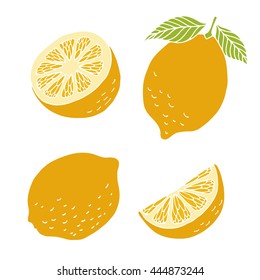 Lemons collection, vector illustration on white