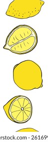 Lemons cut and whole seamless vertical border. Citrus lemons line graphic ink vector art. art for food design, recipe, cook book, packages, menu, food ads and decor