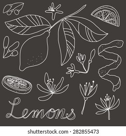 Lemons
Drawing of a lemon, lemon slices, lemon flowers, a branch with a lemon and leaves, lemon blosom and lemons word art