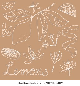 Lemons
Drawing of a lemon, lemon slices, lemon flowers, a branch with a lemon and leaves, lemon blosom and lemons word art