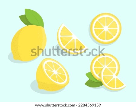 Lemons flat illustration. Collection of stylized flat vector drawings. Best for web, print, advertising, logo creating and branding design.