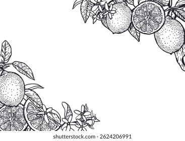 Lemons frame rectangular in graphic style with black ink. Fruits and leaves. Hand drawn vector illustration. For food and cosmetic labels, jam, lemonade, banners, posters, invitations, postcards.