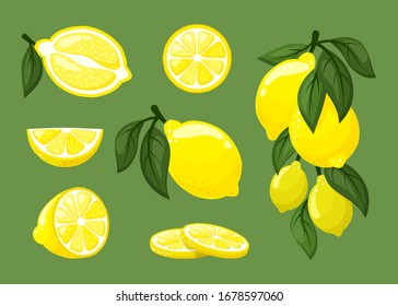 lemons. fresh natural juice exotic tropical fruits sliced healthy products for lemonade. vector cartoon food