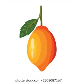 lemons fruit nature illustration design