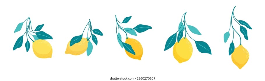 Lemons - fruits and leaves. A set of five compositions to use in your projects.