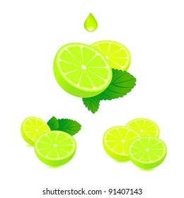 Lemons with green leaves isolated on white. Vector illustration