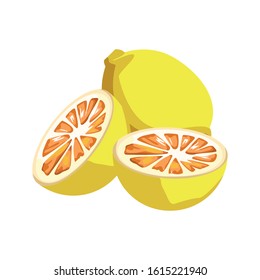lemons in halves icon over white background, vector illustration