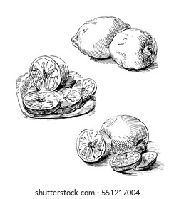 The lemons hand drawn. Graphics sketch 