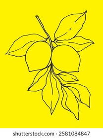 Zitronen, handgezeichnete lineare Illustration auf einzeln gelbem Hintergrund