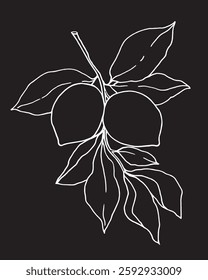 lemons hand drawn linear illustration on isolated black color background