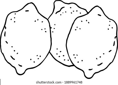 Lemons. Hand drawn vector illustration for recipe, menu,  posters, stickers and seasonal design. Isolated and high resolution.
