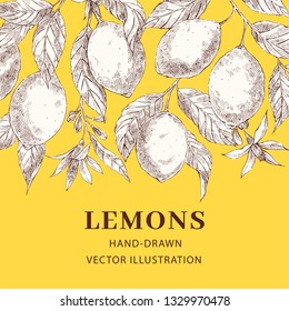 Lemons hand drawn vector poster template  Sketch leaves  flowers web banner design and text space  Sketch exotic citrus fruits  Engraving style botanical  floral illustration  Ink brush drawing