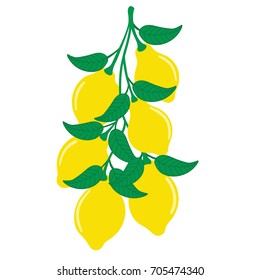 Lemons hanging on a tree branch