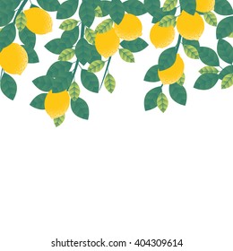 Lemons hanging on tree with leaves