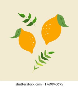 Lemons isolated. Lemons. Illustration. Citrus fruits. Lemons vector. Fresh fruit. Citron. Citrus. Simple fruit.