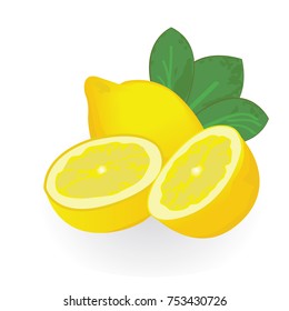 Lemons isolated on a white background vector illustration