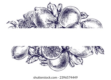 Lemons juicy, ripe with leaves, flower buds on the branches, whole and slices. Graphic botanical illustration hand drawn in blue ink. Frame, template EPS vector