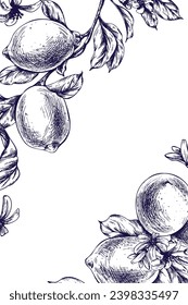 Lemons juicy, ripe with leaves, flower buds on the branches, whole and slices. Graphic botanical illustration hand drawn in blue ink. Frame, template EPS vector.
