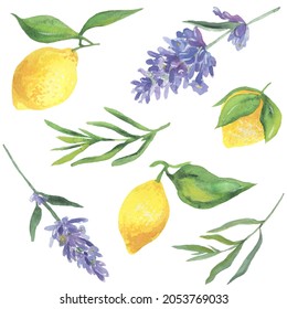 Lemons and lavender., watercolor illustration. Vector isolated elements.