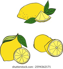 lemons with leaves composition set. Vector graphic line ink illustration. Exotic sour juicy fruit. Yellow citrus. Citric whole and slices. Natural twigs with leaves and flowers. Citron branches.