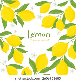 Lemons with leaves Illustration. Lemon plant. Template for cards, menus, flyers, posters. Vector hand drawn illustration.
