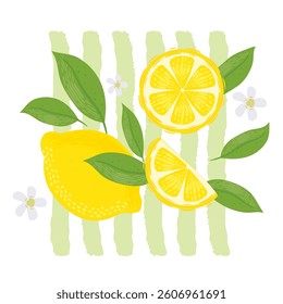 Lemons with leaves Illustration. Lemon plant. Template for cards, menus, flyers, posters. Vector hand drawn illustration.
